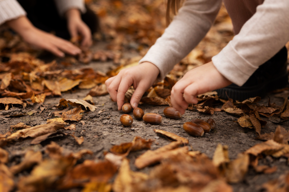 Autunno alla scuola dell’infanzia: sperimentare attività con materiali naturali.