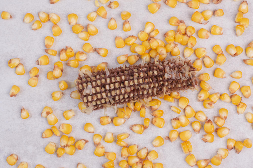 Pregrafismo d’autunno: cinque attività con il mais per la scuola dell’infanzia.