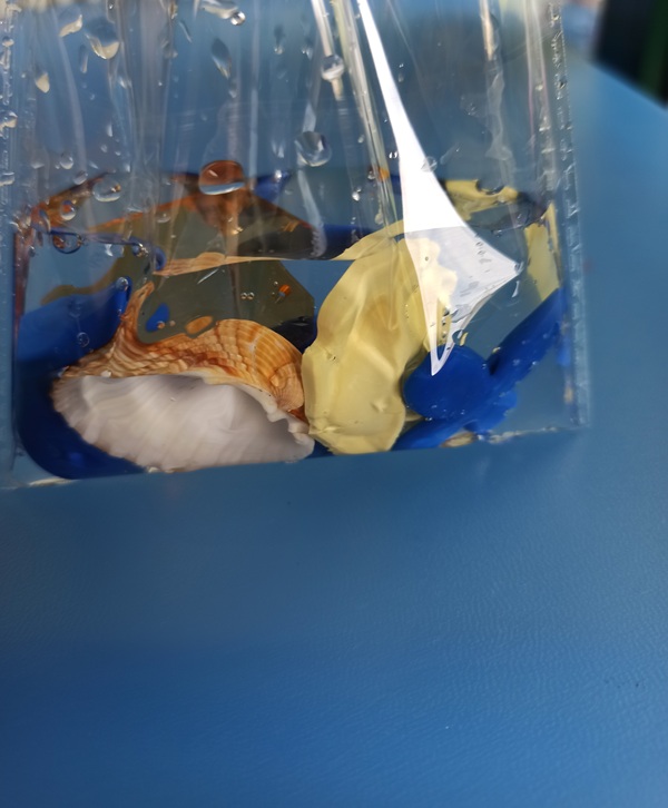 sacchetto in plastica trasparente con oggetti e acqua
