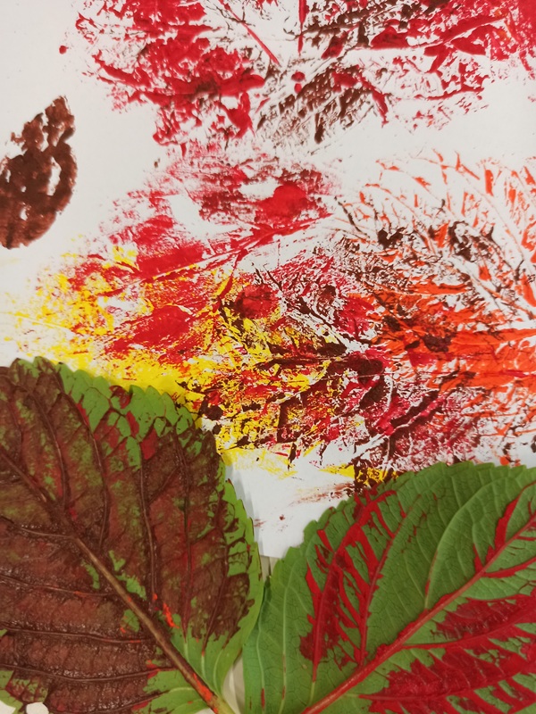 foglie colori stamapa autunno
