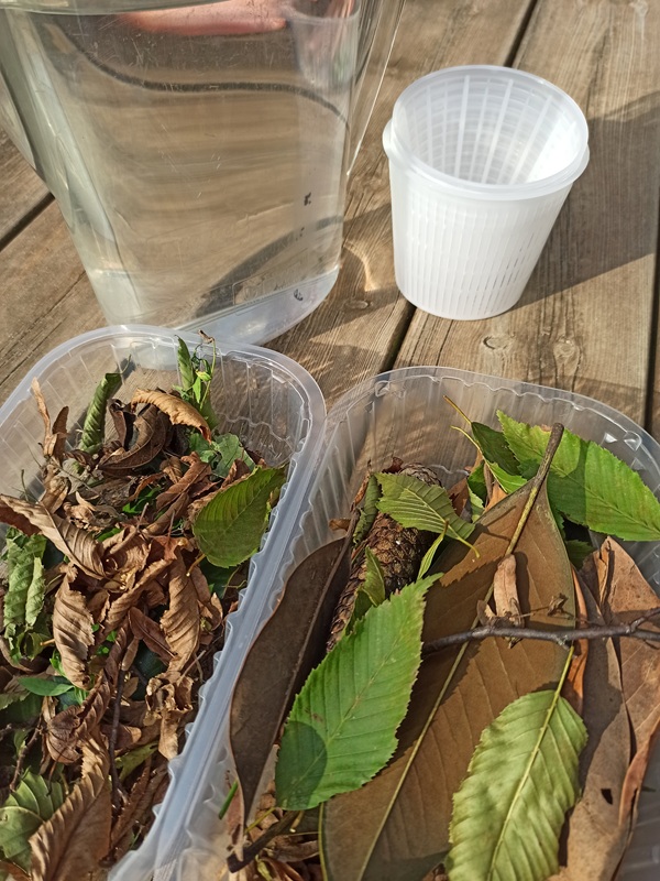 materiali naturali autunno