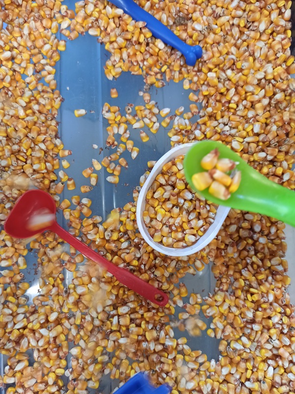 vasca mais gioco libero